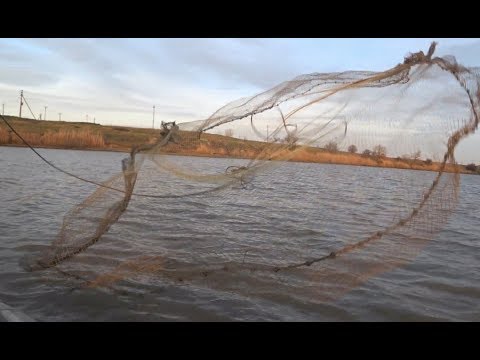 Видео: Гигантский улов Кастинговой сетью. Рыбалка в Раю.