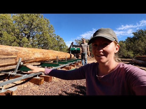 Видео: Нам нужен брус 8x8, но он выглядит не очень хорошо | Распиловка плохих бревен на пиломатериалы