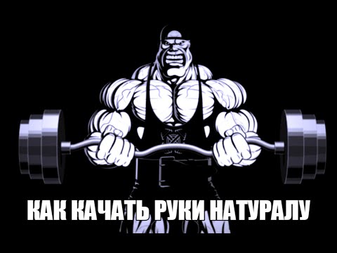 Видео: КАК НАКАЧАТЬ РУКИ НАТУРАЛУ от HeavyMetalGYM - большие БИЦЕПСЫ и ТРИЦЕПСЫ  Егор Рубанов