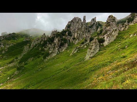 Видео: Карпаты гора Шпицы