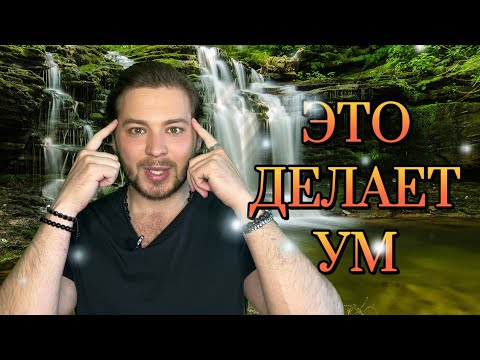 Видео: ДОВЕРИЕ К МИРУ |  ВСЁ ДЛЯ ТЕБЯ