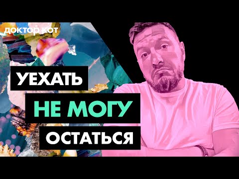 Видео: Уезжать или оставаться, возвращаться или терпеть — Моральные тяготы релокации — Доктор Кот