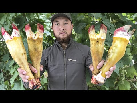 Видео: Готовим холодец из говядины | домашний рецепт спецназа