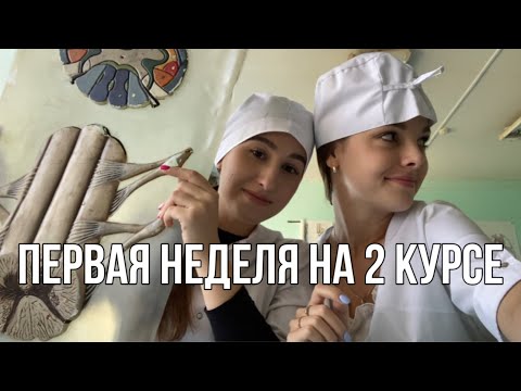 Видео: MedVlog: первая неделя на 2 курсе медицинского