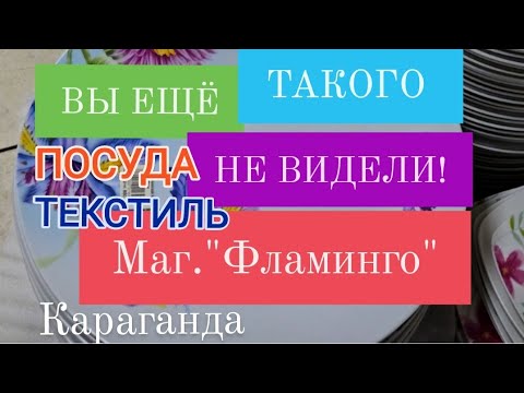 Видео: ФЛАМИНГО - ЛЮБОВЬ С ПЕРВОГО ВЗГЛЯДА!  КАРАГАНДА