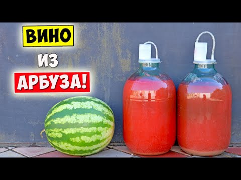 Видео: ВИНО из АРБУЗА / Арбузное Вино / Простой Рецепт / Watermelon Wine