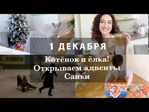 Видео: 1 ДЕКАБРЯ. КОТЁНОК И ЁЛКА. ОТКРЫВАЕМ АДВЕНТЫ. САНКИ. О ПИТАНИИ И СПОРТЕ. ЖДУ ВАШИ ВОПРОСЫ :) ВЛОГ