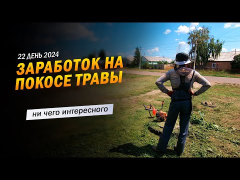 Видео: 22 | Ни чего интересного! Заработок в деревне на покосе травы триммером.