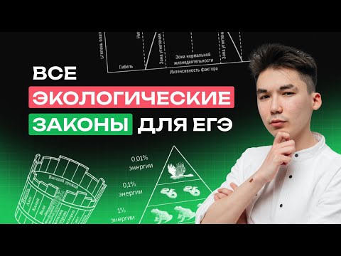 Видео: ВСЕ ЭКОЛОГИЧЕСКИЕ ЗАКОНЫ ДЛЯ ЕГЭ ПО БИОЛОГИИ | NeoFamily