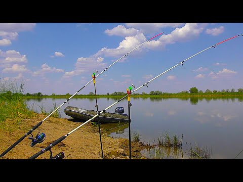 Видео: РЫБАЛКА на КРОКОДИЛЫ. ПОКЛЕВКА за  ПОКЛЕВКОЙ. Ловля дикого сазана.