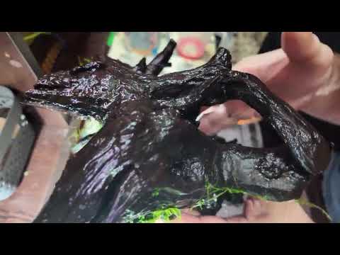 Видео: Аквариумный рай . Коряга , буцефаландры и перестановки . Часть 2