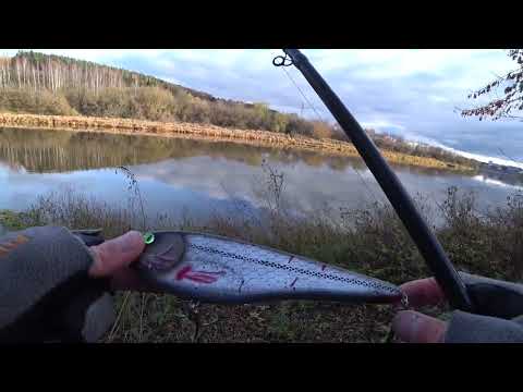 Видео: В ПОИСКАХ ТРОФЕЙНОЙ ЩУКИ, река ДНЕПР!!!