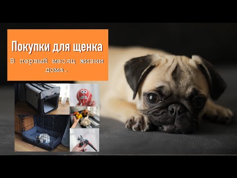 Видео: Что нужно купить для щенка? Первый месяц жизни в номом доме. Для чего нужна клетка (вольер). Корм RC