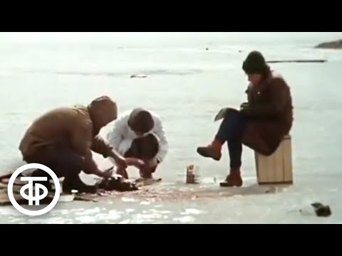 Видео: Вокруг Байкала (1988)