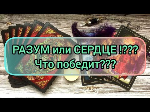 Видео: ✅🔯💖🔯✅ РАЗУМ ИЛИ СЕРДЦЕ❓💖 ЧТО ПОБЕДИТ⁉️⁉️⁉️⁉️⁉️⁉️⁉️ 💖💖💖💖💖💖💖💖💖💖💖💖💖💖