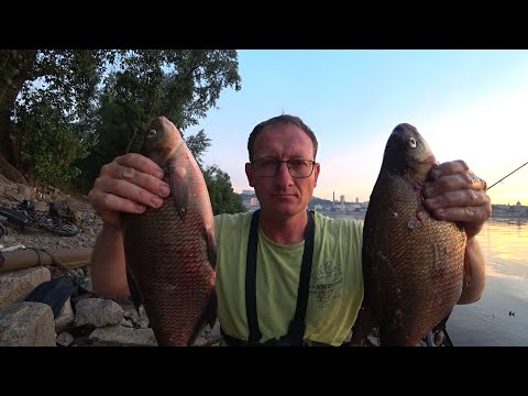 Видео: ☂💧Дощова риболовля   I  ЛЯЩ  I   Сомік  I  Пласкірка  I  Синець I   Рибалка на 2 фідера