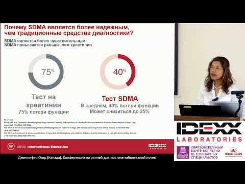 Видео: 2 - Jennifer Ogeer - "Болезни почек у собак и кошек – преимущества ранней диагностики".
