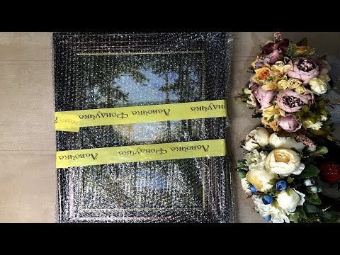 Видео: Тишина Эстэ. Возвращение с выставки. Программа Первоотшива.