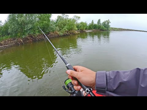 Видео: Уже не ждал клёва, но вдруг ВИЖУ ВСПЛЕСКИ В УСТЬЕ РУЧЬЯ !! Рыбалка на спиннинг. Уходит вода