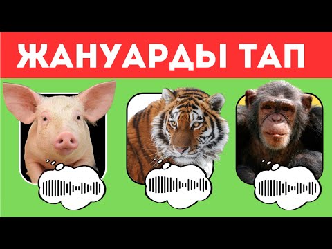 Видео: ЖАНУАРЛАРДЫ ДАУЫСЫ АРҚЫЛЫ ТАП🦊🦁🐯🐵🐶/ҚЫЗЫҚТЫ СҰРАҚТАР🧐/БІЛІМ QUIZ🧠