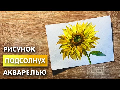Видео: Как нарисовать подсолнух карандашом и акварелью начинающим | Рисунок для детей