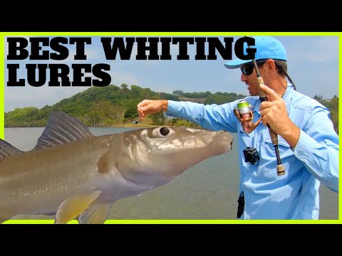 Видео: ЛУЧШИЕ ПРИМАНКИ ДЛЯ ПОВЕРХНОСТНОЙ ЛОВЛИ МЕРЛА