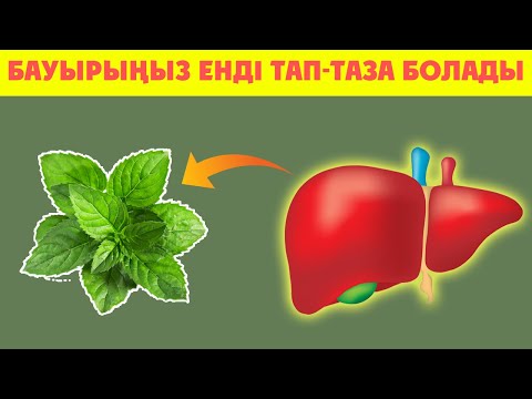 Видео: БАУЫРДЫ ҮЙ ЖАҒДАЙЫНДА ТАЗАРТУДЫҢ ЕҢ КЕРЕМЕТ ӘДІСІ, КӨРІҢІЗДЕР, Бауыр ауырса не істейміз, Керек арнас