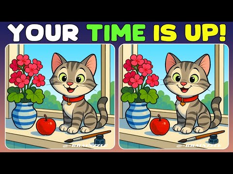 Видео: Найдите три отличия: сможете ли вы обогнать таймер? ⏳🔥
