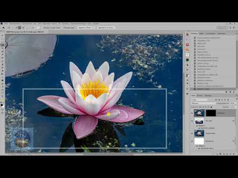 Видео: Эффект выхода объекта из фото