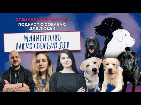 Видео: День рождения «Министерства наших собачьих дел»