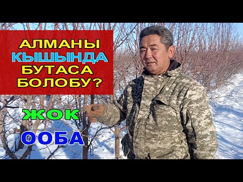 Видео: АЛМАНЫ КЫШЫНДА БУТОО ЭРЕЖЕЛЕРИН БИЛИП АЛЫҢЫЗ ☝️☝️☝️