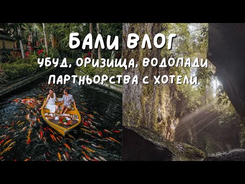 Видео: Бали Влог - Еп. 5 - УБУД, ОРИЗИЩАТА ТЕГАЛАЛАНГ, ВОДОПАДИ И ПАРТНЬОРСТВА С ХОТЕЛИ