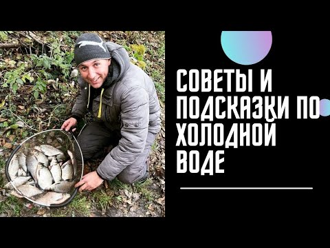 Видео: РЫБАЛКА НА ФИДЕР! КОНЕЦ СЕЗОНА 2021! ЛЕЩ РЕКА! Фидерная ЛОВЛЯ! Холодная вода!