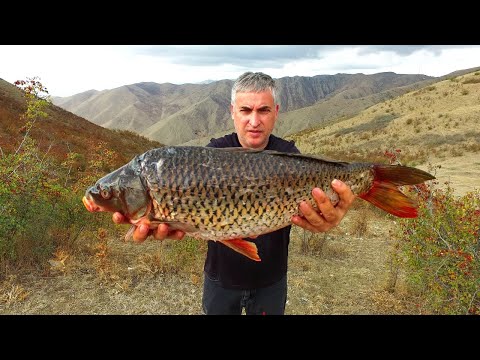 Видео: ПОДНЯЛСЯ НА ГОРУ  ГОТОВИЛ ШАШЛЫК ИЗ РЫБЫ САЗАНА