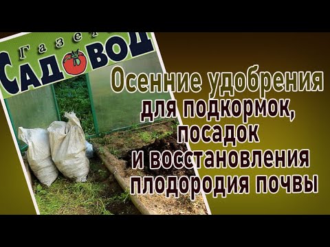 Видео: Осенние удобрения для подкормок, посадок и восстановления плодородия почвы