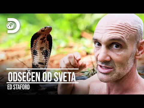 Видео: Изправен пред смъртоносната кобра | Ед Стафърд - захвърлен в пустошта