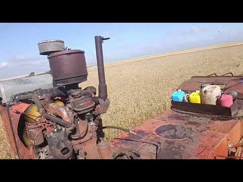 Видео: Уборочная 2025