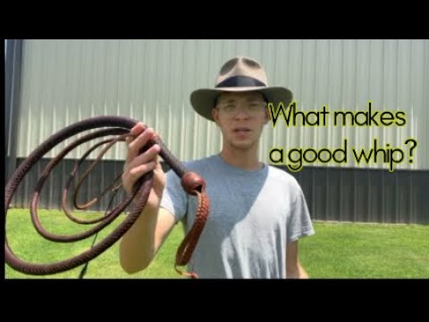 Видео: Что делает кнут хорошим?