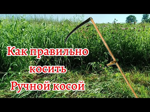 Видео: КАК ПРАВИЛЬНО КОСИТЬ РУЧНОЙ  КОСОЙ.