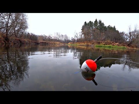 Видео: Ловля щуки на маховую удочку с поплавком! Рыбалка на живца в ноябре 2021.