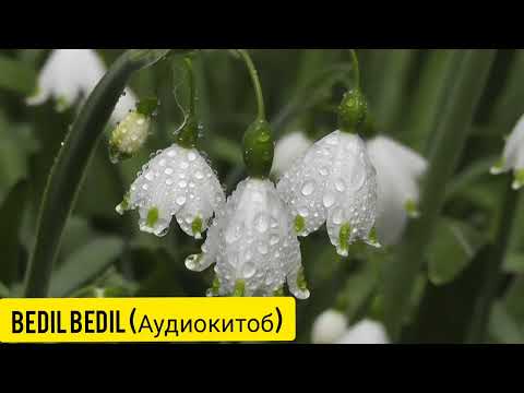 Видео: ЯТИМ (Повест)-Қисми 7