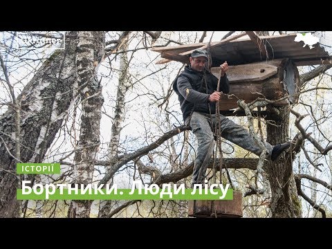 Видео: Бортники. Люди Леса. Ukraїner