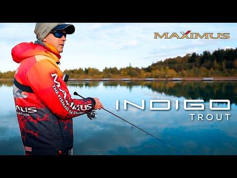 Видео: Форелевый спиннинг Maximus Indigo Trout.