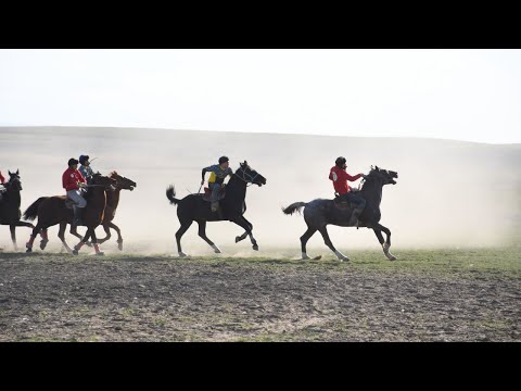 Видео: Өнер көкпары. Алматы қаласы - Қарағанды