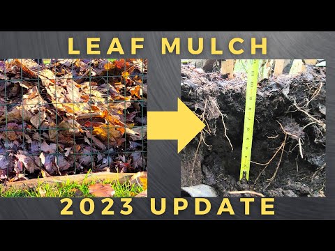 Видео: Обновление Leaf Mulch 2023!