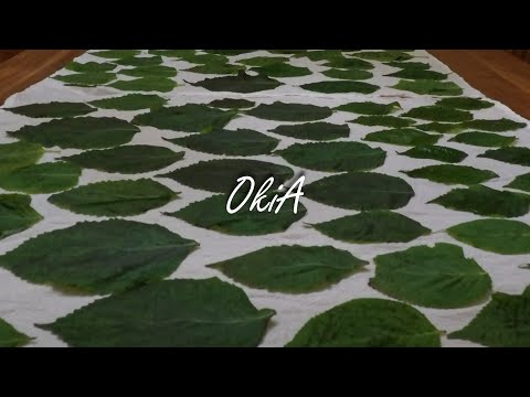 Видео: #17 Осеннее небо, приключение на каяке | Красивый закат – восстанавливающее средство для души