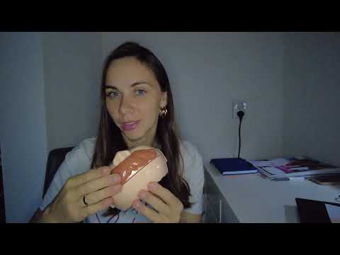 Видео: АСМР Школьный ДОКТОР - Стоматолог 🛠 ASMR DOCTOR
