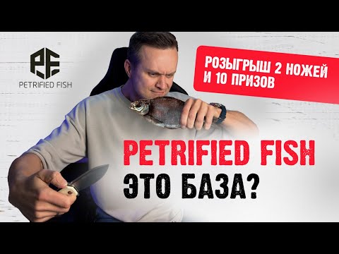 Видео: Petrified Fish – это база! Обзор свежей поставки и лучших моделей