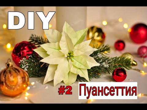Видео: DIY Пуансеттия из фоамирана | Как Легко и Быстро сделать серединку
