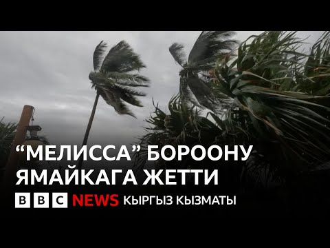 Видео: "Мелисса" бороону: Ямайка эң катуу шамалга даярдык көрүүдө - Би-Би-Си ТВ 28.10.25